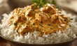 © SibteHUSSAIN - Rich creamy Awadhi Chicken Korma sauce gently swirled onto tender basmati rice grain clean professional stock photo sharp macro photography style cinematic realism ultra photorealistic no text no
