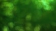 © M Halim Abduh - Abstract Green Bokeh Background with Bright Circular Light Effects for Nature and Environment