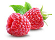 © Vasilii - Two juicy ripe raspberries with leaf isolated on transparent background.