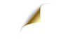 © Design Zone - Blank page with curled edge corner and shadow