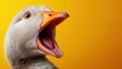 © Larisa AI - A striking close-up of a goose with vibrant colors and expressive features, showcasing the beauty of wildlife and evoking feelings of curiosity and familiarity.