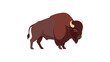 © Arif - Brown Bison Side View Illustration.
