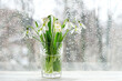 © Ju_see - bouquet of snowdrops in glass vase on windowsill, window glass with rain drops texture background. Beautiful composition with first flowers. snowdrop - symbol of early spring season. rainy weather