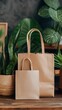 © Palugada - Brown Paper Bags with Green Plants