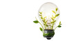 © hahi - Growing life energy a light bulb with saplings germinating inside symbolizes environmental awareness and sustainable energy isolated on transparent background