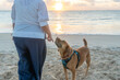 © José Grageda - Mujer con su perro en la playa durante el atardecer con luz dorada reflejada en la arena. Escena que transmite vínculo humano–animal, libertad, bienestar y estilo de vida relajado