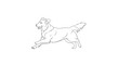 © Dimas Syahputra - Happy Dog Running Line Art Illustration, Playful Golden Retriever Outline, Active Pet