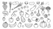 © Oksi - Hand drawn line art fruits and vegetables set featuring a wide variety of fresh produce for healthy eating and cooking