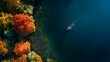 © Dentma Art - Aerial view of a serene lake with a boat near vibrant autumn foliage on the shore