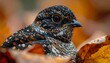© ALFAHRU - A close-up shot of a beautifully camouflaged nightjar bird nestled among vibrant autumn leaves, showcasing its intricate speckled plumage and large dark eyes.