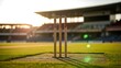 © *I Love Mom* - Cricket stumps on stadium field during sunset match