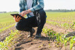 © Serhii - Farmer using digital tablet while inspecting corn seedlings in field