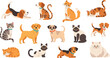 © MdNazmul - Cute Cat and Dog Cartoon Character Illustration Set with Multiple Breeds, Playful and Resting Poses, Friendly Domestic Pets, and Flat Vector Design Style