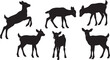 © Shakeel - Black Solid Young Reindeer Playful Silhouettes Set of Six on White Background