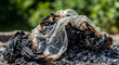 © Alex - Burned plastic garbage symbolizing environmental pollution