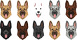 © Rubya - German shepherd dog head vector set with multiple coat colors and facial expressions isolated on white background illustration