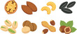 © Yevhenii creative - Assorted nuts and seeds illustration set with almonds cashews pistachios walnuts and hazelnuts healthy snack flat vector design for nutrition and food projects