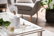 © Pixel-Shot - Air humidifier with bottle of essential oil and rose flower on table in living room, closeup