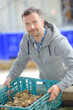 © auremar - a man with plastic baskets - oyster farmer