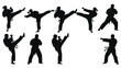© Vectorian - Dynamic set of black silhouettes showcasing various martial arts practitioners in action, performing powerful kicks and precise punches, illustrating strength and discipline.