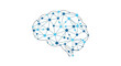 © Laang - Brain with interconnected blue nodes and lines on white background representing artificial intelligence and neural networks