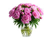 © Md - Elegant bouquet of pink roses in a clear glass vase for special occasions