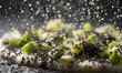 © Sehrish - Charred leek ash raining down onto creamy potato pure clean professional stock photo sharp macro photography style cinematic realism ultra photorealistic no text no watermark