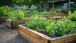 © wiparat - Vegetable garden with wooden raised beds for herbs, fruits and vegetables