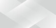 © Zaien - Abstract white and gray background. smooth abstract background, blurred pattern. eps 10
