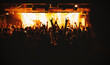 © 9parusnikov - Large crowd cheering at bright live music concert