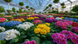 © Maksym - High-angle view of modern greenhouse with colorful flowers planted in rows, pots overhead holding marigolds and lilies, sunlight illuminating petals and casting soft shadows, lush