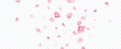 © MatisseStudio - Petal flower falling overlay background.