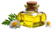 © Varunee - Aromatic Chamomile Elixir: A beautifully crafted glass bottle holds a golden chamomile elixir, adorned with delicate chamomile blossoms, evoking a sense of tranquility and holistic wellness.