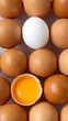 © ekalaila - Assortment of Brown and White Eggs with Yolk