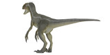 Realistic dinosaur model on white background