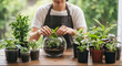 © MUHAMMAD - Gardener carefully placing plants into a glass terrarium on a wooden table surrounded by various potted plants and lush greenery outside