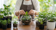 © MUHAMMAD - Person carefully placing a small plant into a glass terrarium surrounded by various potted plants on a wooden table indoors