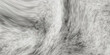 © Nasrin - A close up monochrome image showcases a soft textured and fluffy surface resembling animal fur or a plush fabric high quality