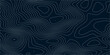 © Hasan - Abstract topographic map background in dark blue with white and light gray contour curves creating organic terrain elevation pattern, seamless geographic relief vector texture design.