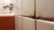 © Hadiyah - Close Up Of Mold Growth On White Bathroom Tiles With Grout Lines And Silver Faucet In Soft Lighting