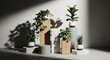 © Salimah - Indoor plants arranged on podiums creating a natural decoration scene