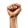 © MSTSHOHADAISLAM - Male clenched fist, strong hand protest sign, isolated on transparent background