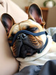 © Julian - Sleepy French Bulldog Wearing Sleeping Mask Relaxing