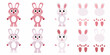 © Kabita - Cute pink cartoon rabbits and their separate body parts displayed neatly