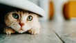 © Pinklife - A cute cat with striking green eyes is curiously peeking out from beneath furniture, embodying a sense of curiosity and playfulness in a cozy, inviting room.