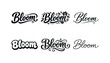 © Coosh448 - Image Generation. Bloom big and bold lettering. Set lettering. harmonious lettering variations of the same emblematic concept, each with different artistic
