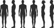 © Tahura - Set of black silhouettes featuring adult male and female human body figures shown in front and side profile views for medical and fashion design.nt