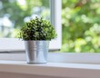 © Sa - 明るい窓際に置かれたシルバーの鉢植えの観葉植物と背景に広がる爽やかな新緑