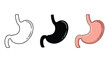 © Samia - Human stomach anatomy stages flat design vector illustration - Flat Design Icon. line icon set - Icon vector - Blue icon vector. Clipart. Icon collection - Line and glyph solid icon and logo template