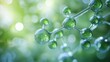© mevideo - Green molecular structure glowing in soft bokeh background, symbolizing biotechnology, ecology, organic chemistry, and sustainable innovation connecting science with nature and environmental balance.